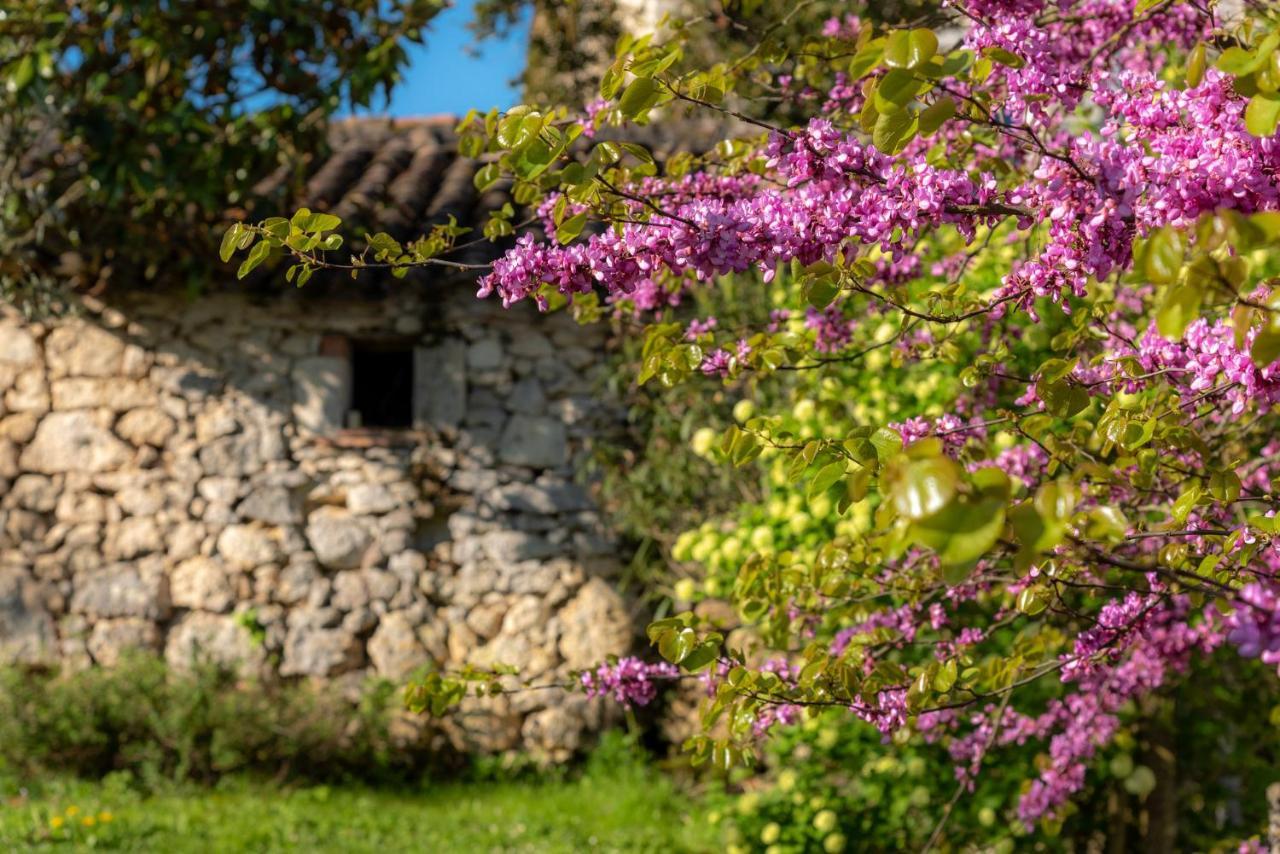 La Maison De Yuka Plieux Екстериор снимка
